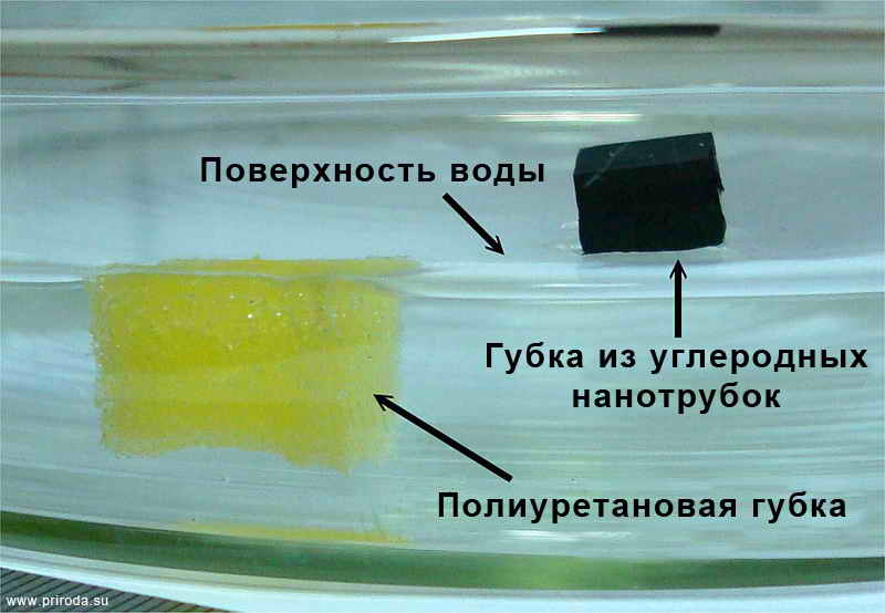Губка из углеродных нанотрубок