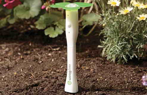 EasyBloom