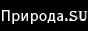 Природа и Экология